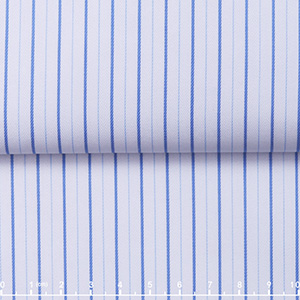 JS2556-01