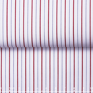 JS2556-02