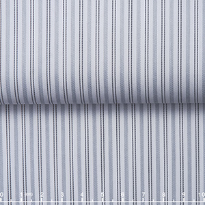 JS2555-01