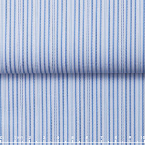 JS2553-02
