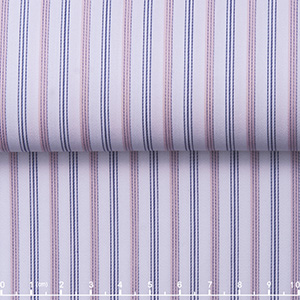 JS2554-02