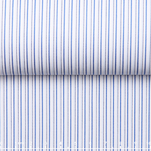 JS2551-01