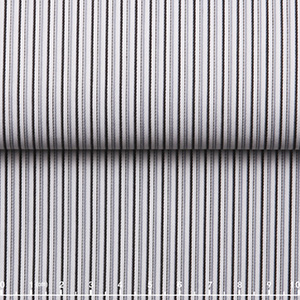 JS2551-02