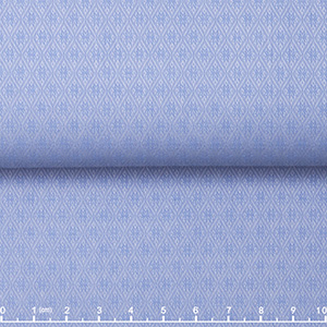 JS2475-02