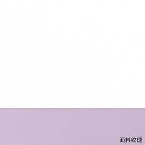 JS2479-01