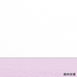 JS2480-01