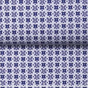 JS2507-01